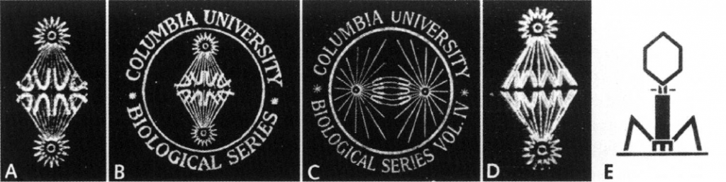 Logos for the Columbia Biological Series. From Joe Cain. 2001. The Columbia Biological Series, 1894-1974: a bibliographic note. Archives of Natural History 28: 353-366. https://www.euppublishing.com/doi/pdfplus/10.3366/anh.2001.28.3.353.
