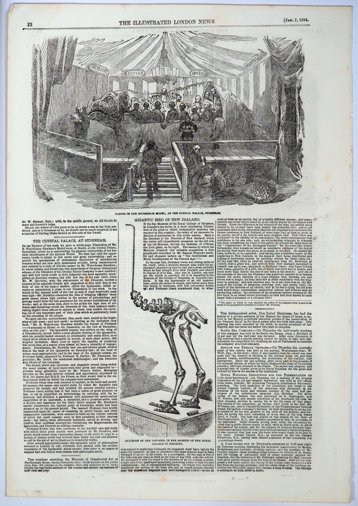 Full page. Illustrated London News, volume 24, number 662, page 22. Published 07 January 1854. Includes “Dinner in the Iguanodon Model” and “Gigantic Bird of New Zealand”