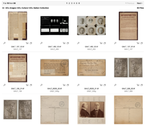 Figure 4. Sample returned from search for Galton Collection images in UCL ImageStore as viewed on 9 July 2021.