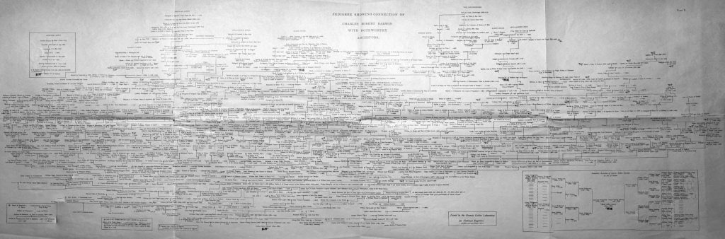 Plate E in Karl Pearson (ed.). 1914. Life, Letters, and Labours of Francis Galton volume 1.
