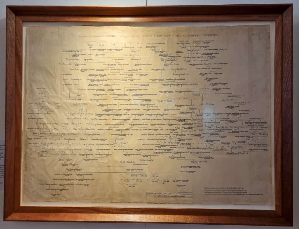 This photograph is GALT364 from UCL Science Collections. It was photographed while on display in the "We Are Not Alone" exhibition at Wiener Holocaust Library in Sepatember 2021. It is the camera-ready image used for Plate II in Karl Pearson. 1930. Life, Letters, and Labours of Francis Galton, volume 3a.