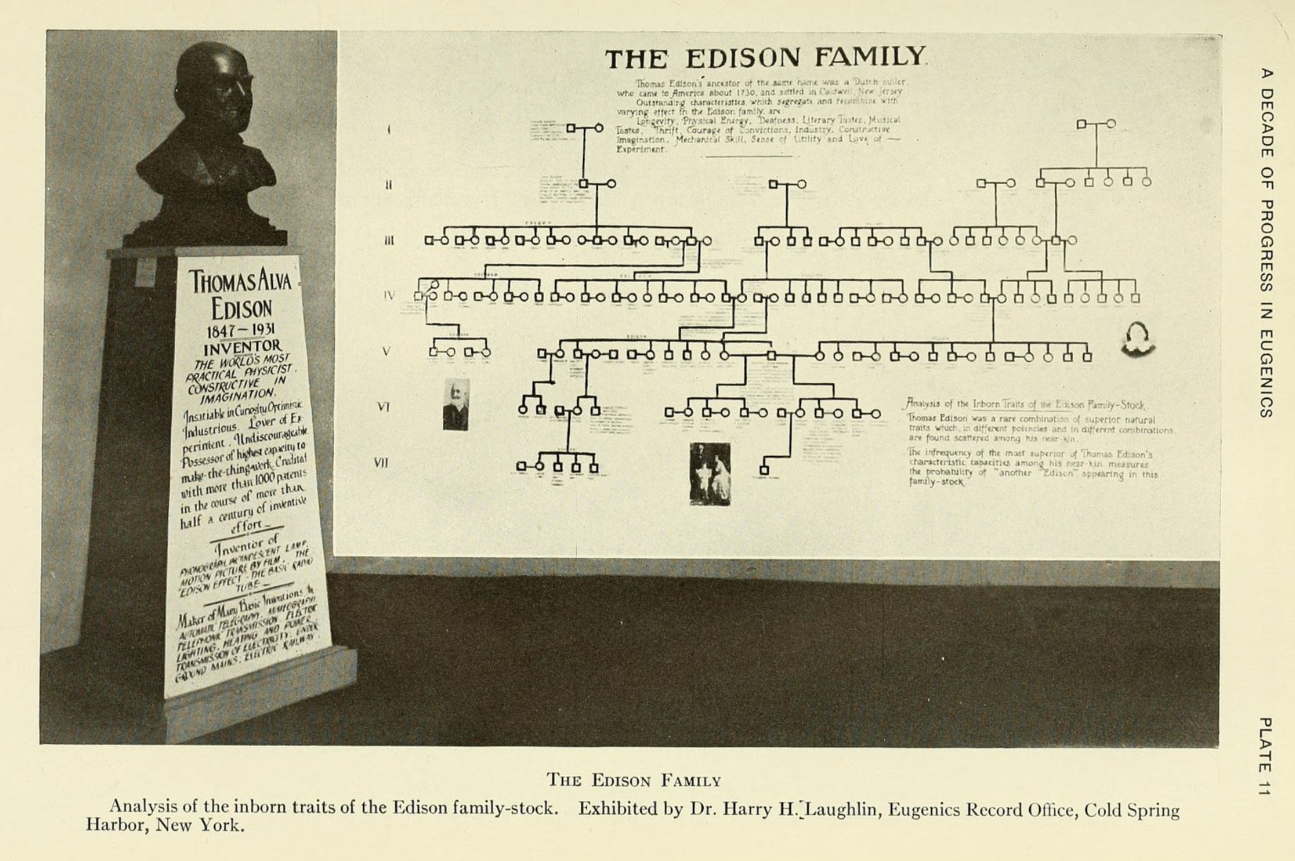 Harry F. Perkins, et al. 1934. A Decade of Progress in Eugenics. Scientific Papers of the Third International Congress of Eugenics, Held at the American Museum of National History, New York, August 21st-23rd, 1932