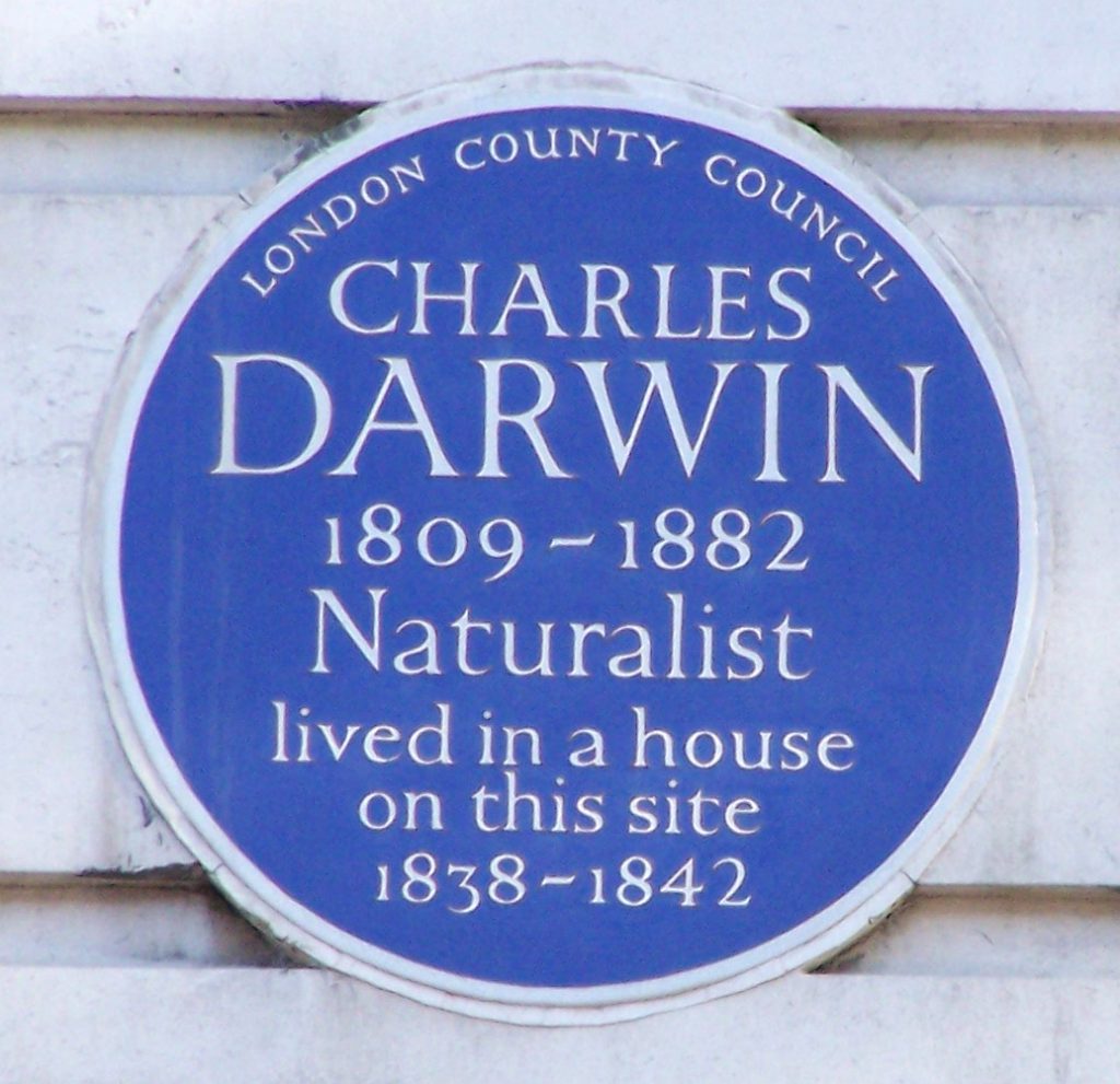 Fig 2 Second commemorative plaque for Charles Darwin on the site of the house he rented. This plaque was unveiled in January 1961 and placed on the Biological Sciences Building (now UCL Darwin Building) on Gower Street.