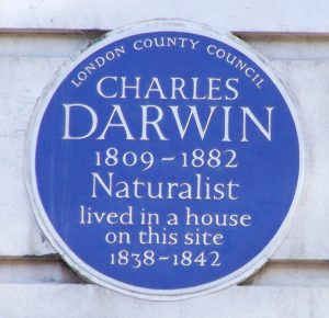 Fig 2 Second commemorative plaque for Charles Darwin on the site of the house he rented. This plaque was unveiled in January 1961 and placed on the Biological Sciences Building (now UCL Darwin Building) on Gower Street.