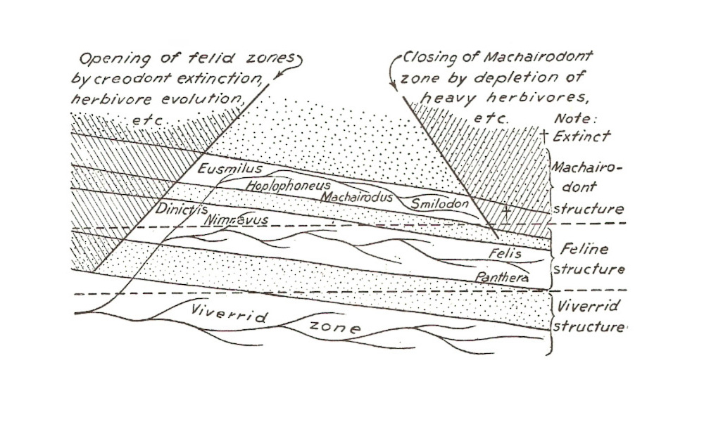 Simpson (1944) Tempo and mode in Evolution, figure 30