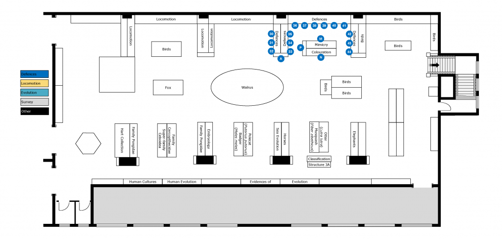 Defences of Animals floor plan. Natural History Gallery, Horniman Museum, London. ProfJoeCain 2022