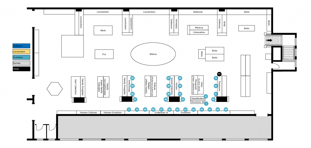 Evidences of Evolution floorplan. Natural History Gallery, Horniman Museum, London. ProfJoeCain 2022