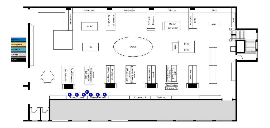Evolution of Man floorplan. Natural History Gallery, Horniman Museum, London. ProfJoeCain 2022