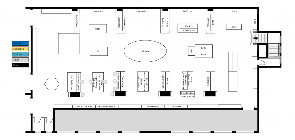 Survey of the Animal Kingdom exhibit floorplan (ground floor only). Natural History Gallery, Horniman Museum, London. ProfJoeCain 2022