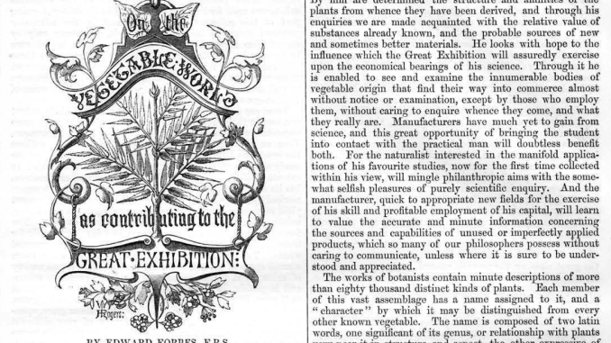 On the Vegetable World as Contributing to the Great Exhibition by Edward Forbes, Professor of Botany, King’s College, London, Etc., 8 pages (1851)