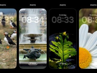 Lockscreen samples for photography challenge to compose for 19.5:9 aspect ratio.