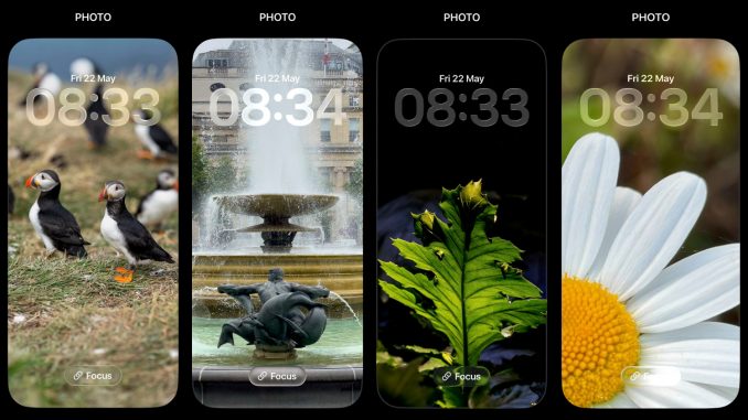 Lockscreen samples for photography challenge to compose for 19.5:9 aspect ratio.