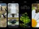 Lockscreen samples for photography challenge to compose for 19.5:9 aspect ratio.