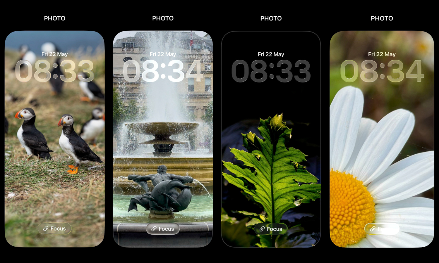 Phone Lock Screens - Photography Challenge (Gallery) | Professor Joe Cain