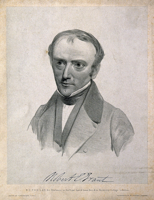 Robert Edmond Grant portrait
